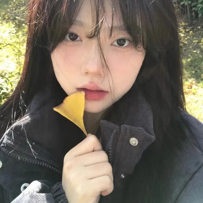 企鹅记忆幸福故事