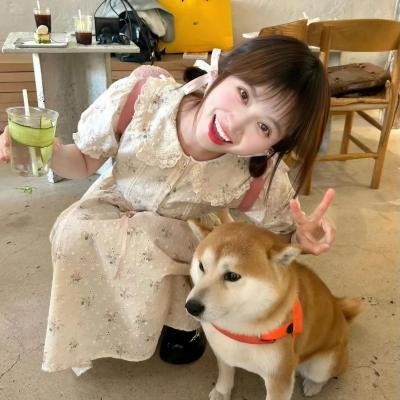 那个阳光灿烂的夏天