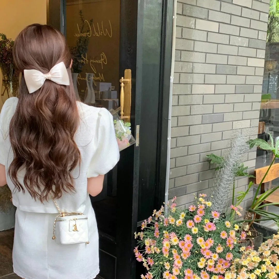星蝶公主第三季